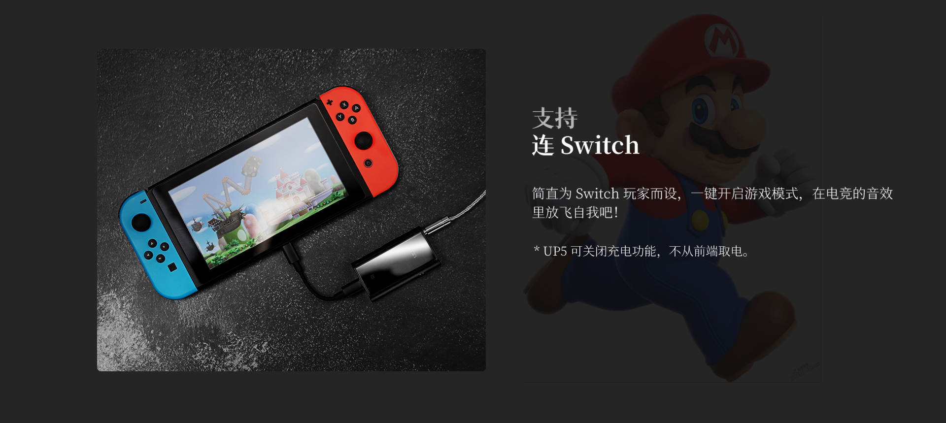UP5 旗舰级蓝牙解码耳放