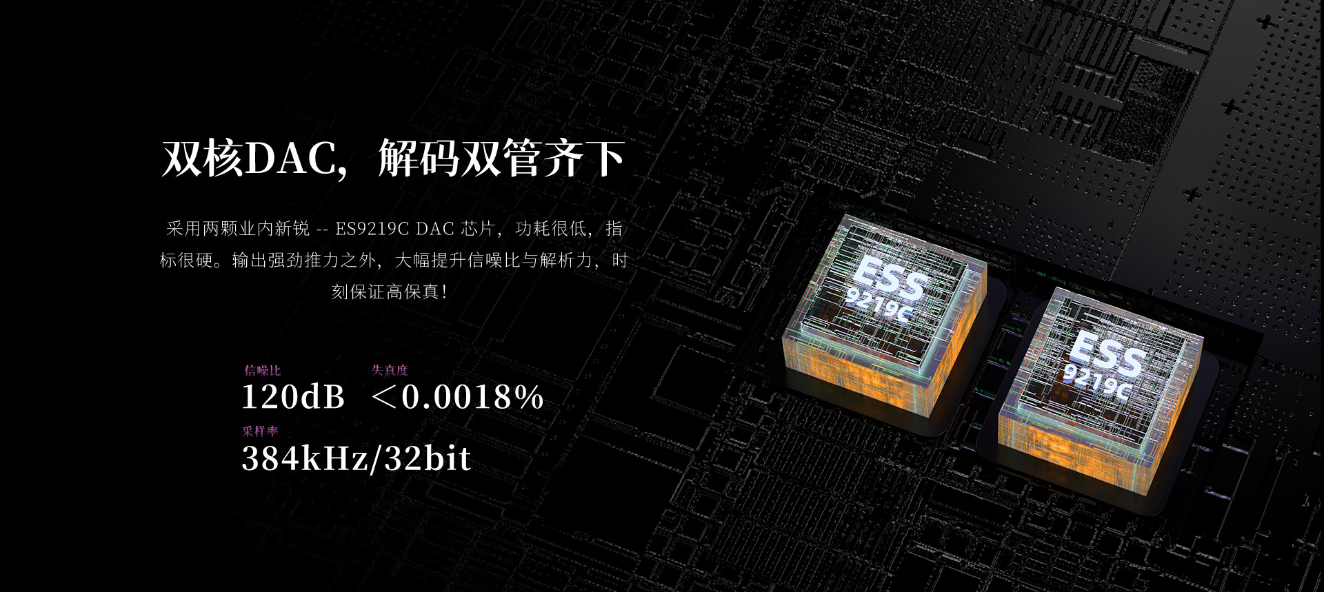 UP5 旗舰级蓝牙解码耳放