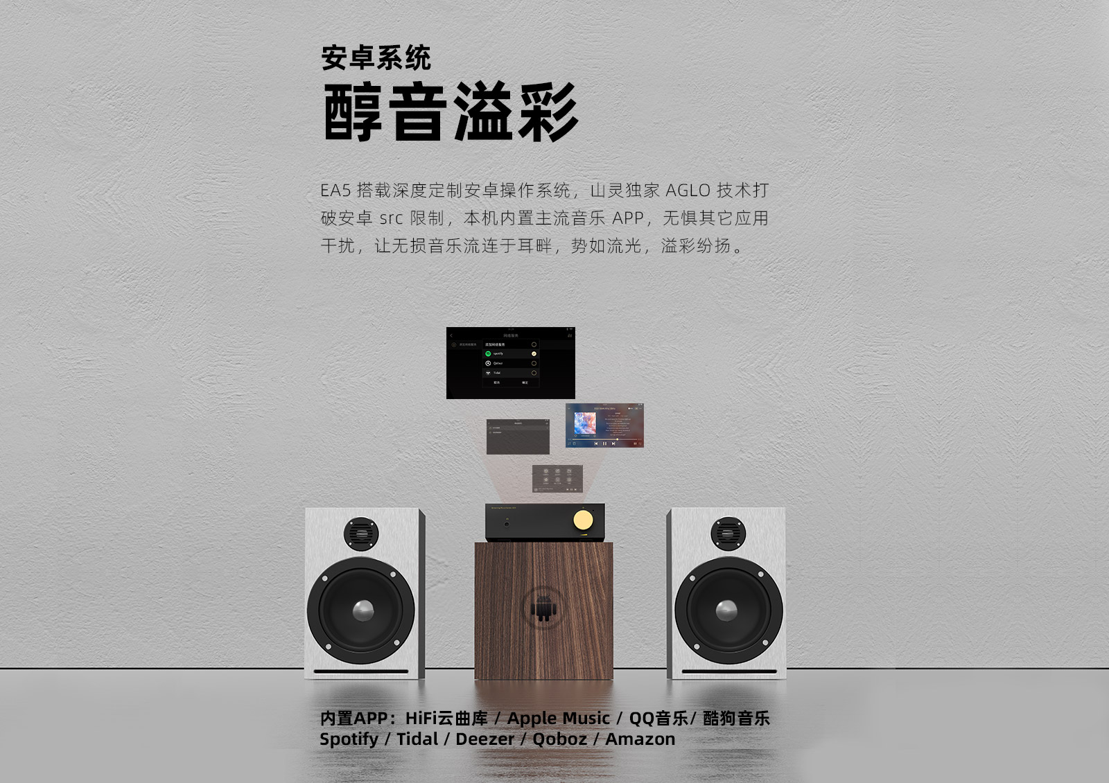 EA5 流媒体功放一体机