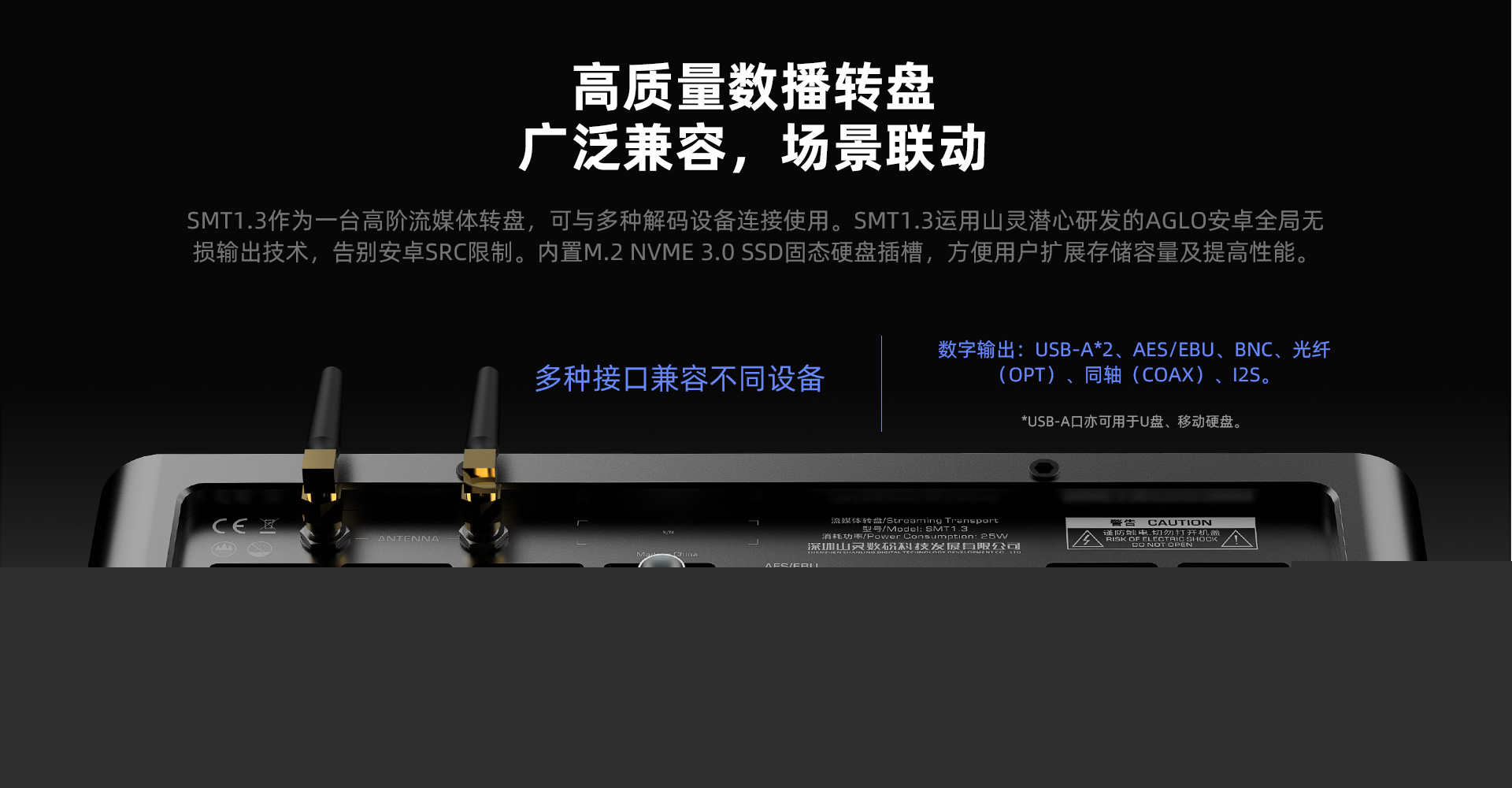 SMT1.3-3.jpg