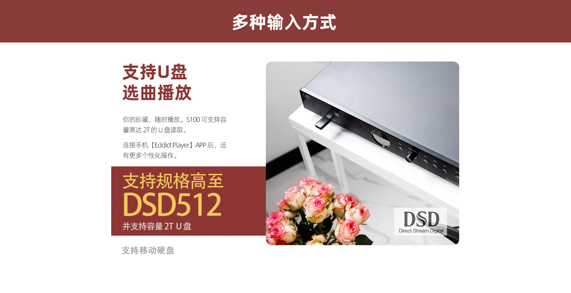CD-S100(21)