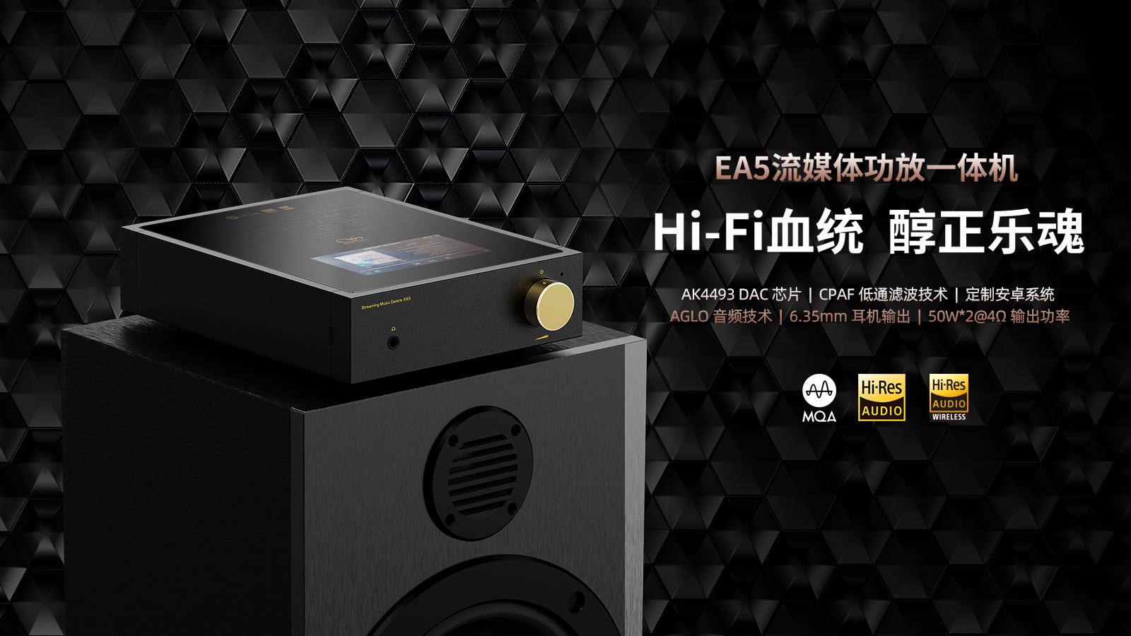 EA5 流媒体功放一体机